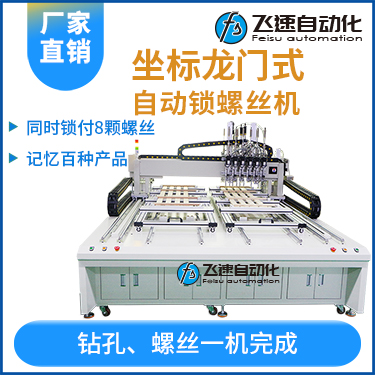 飛速FSZ系列-伺服電機(jī)坐標(biāo)式自動(dòng)鎖螺絲機(jī)，龍門坐標(biāo)式